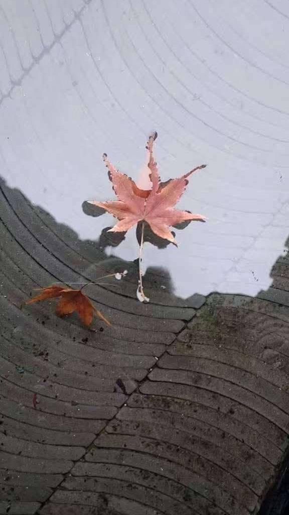 甜蜜溫馨溫暖悠閒談笑風生