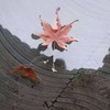 甜蜜溫馨溫暖悠閒談笑風生