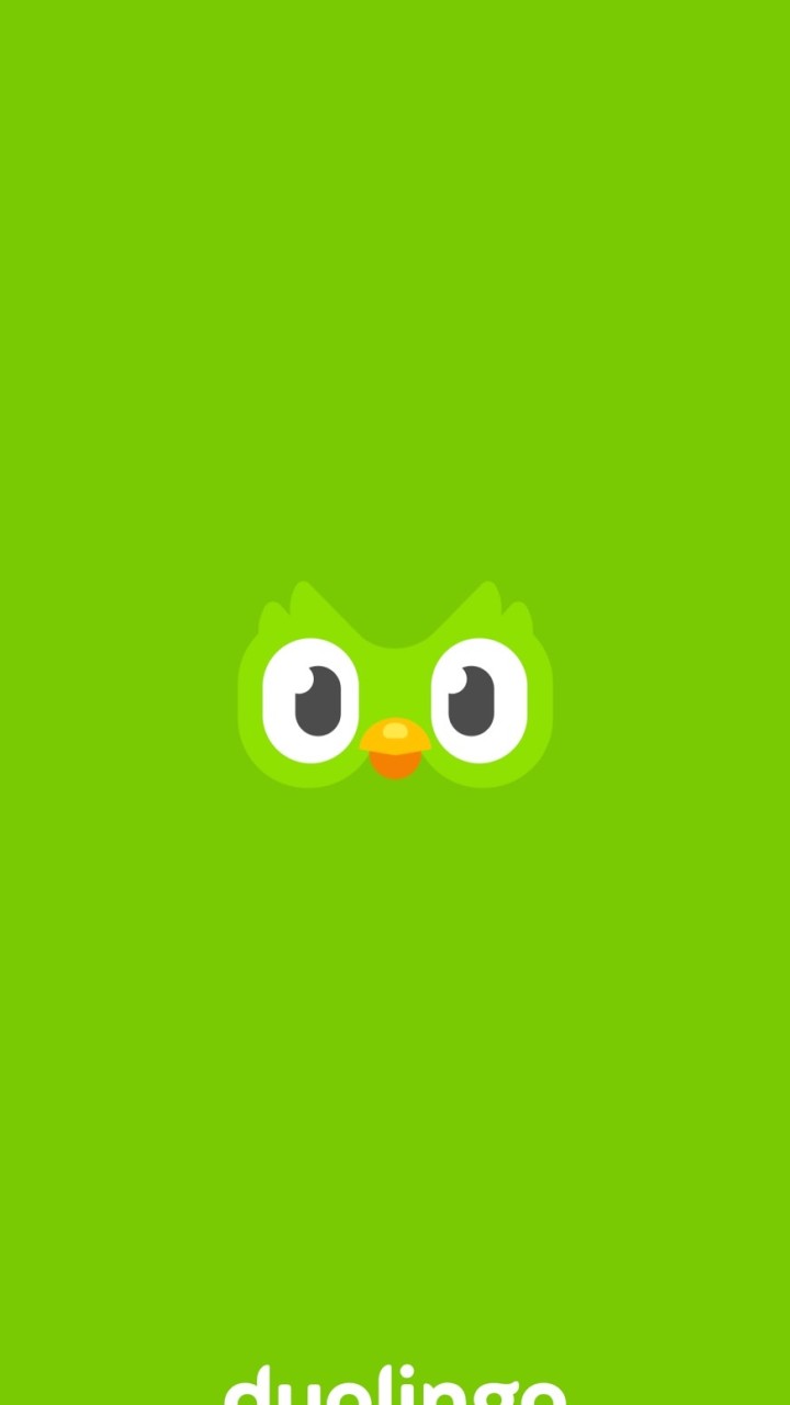 Duolingo Friends!