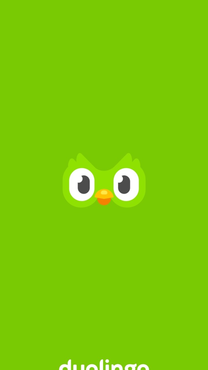 Duolingo Friends!