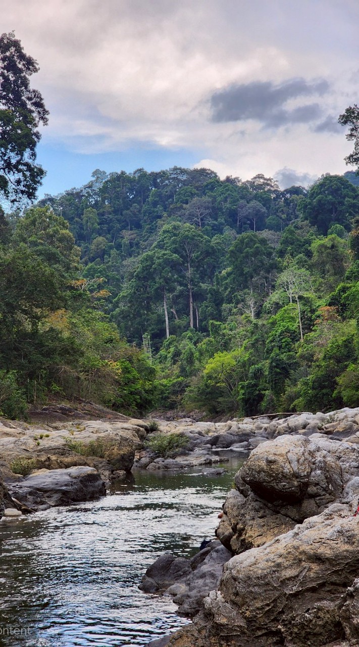 ตุลา พาลุย