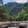 ตุลา พาลุย