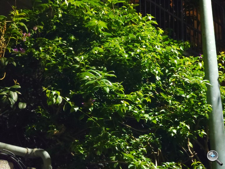 20201015_193446.JPG