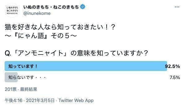 猫好きさんの定番のにゃん語 アンモニャイト の意味