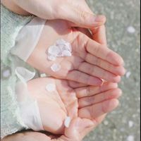 แลกโหวต SDA BWS TH & KHY TH