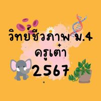 วิทย์ชีวภาพ ม.4 ครูเต๋า 2567