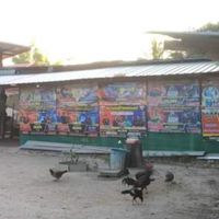 ประสานชัย ไก่ชน