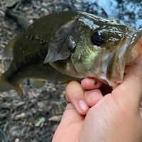 全国バス釣りアングラーの集まり場