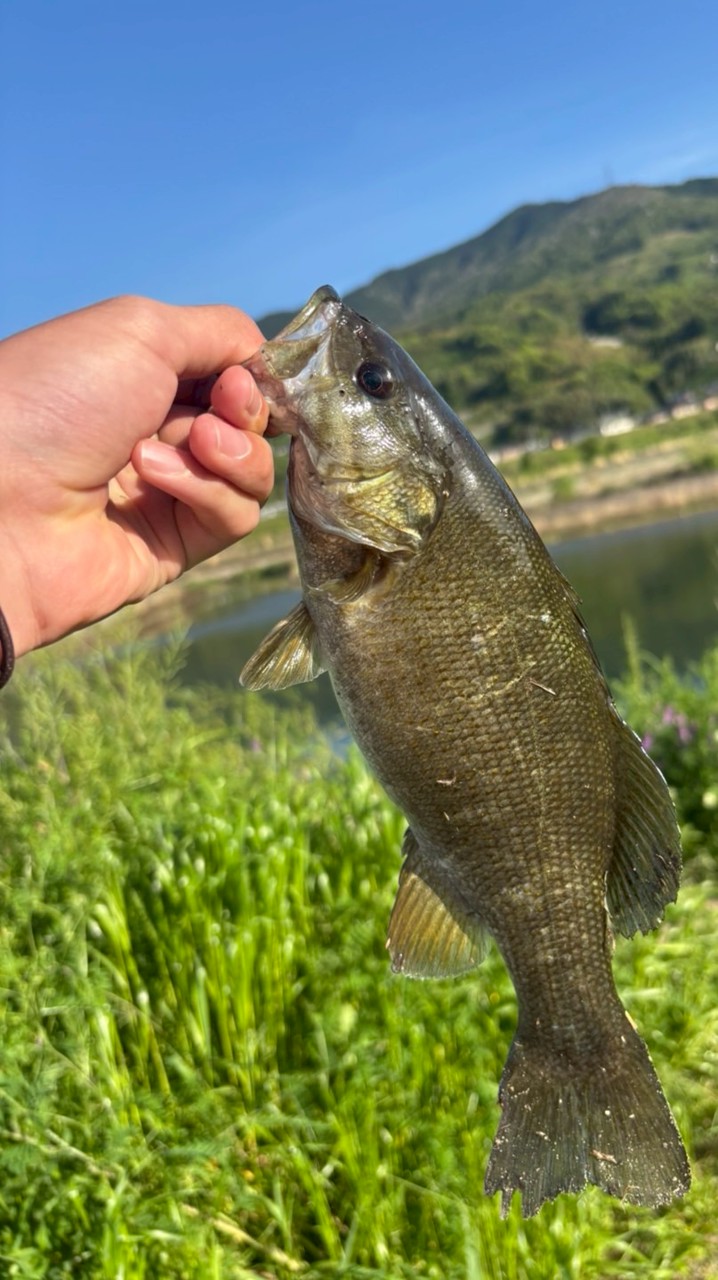 全国バス釣りアングラーの集まり場