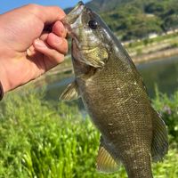 全国バス釣りアングラーの集まり場