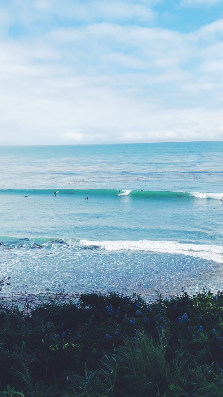 サーフィン🏄‍♂️🏄‍♀️のオープンチャット