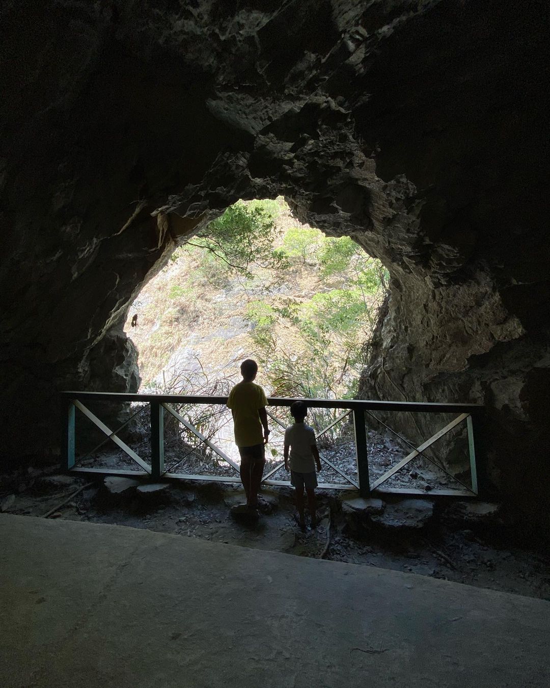 白楊步道 @karen81926101