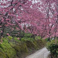 玩台灣～一起趴趴go旅遊