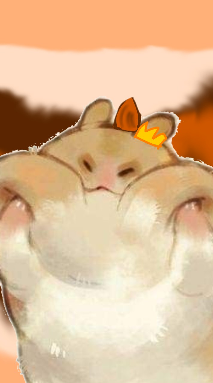 🤍🐹แฮมมี่จังแลนร์🥔🤎