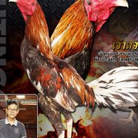ส.สมจิตต์ ฟาร์ม