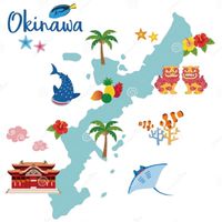 2/7～2/11🌺沖繩🌺佛系代購