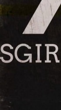 SGIR 切り抜き team