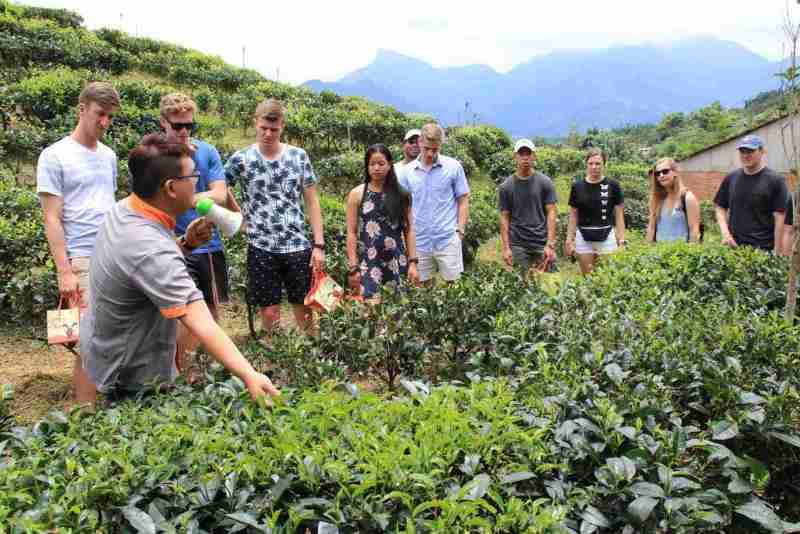 南投觀光工廠 和菓森林紅茶莊園