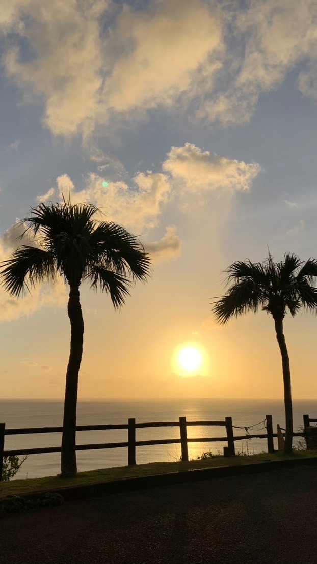 南の離島　園芸・家庭菜園