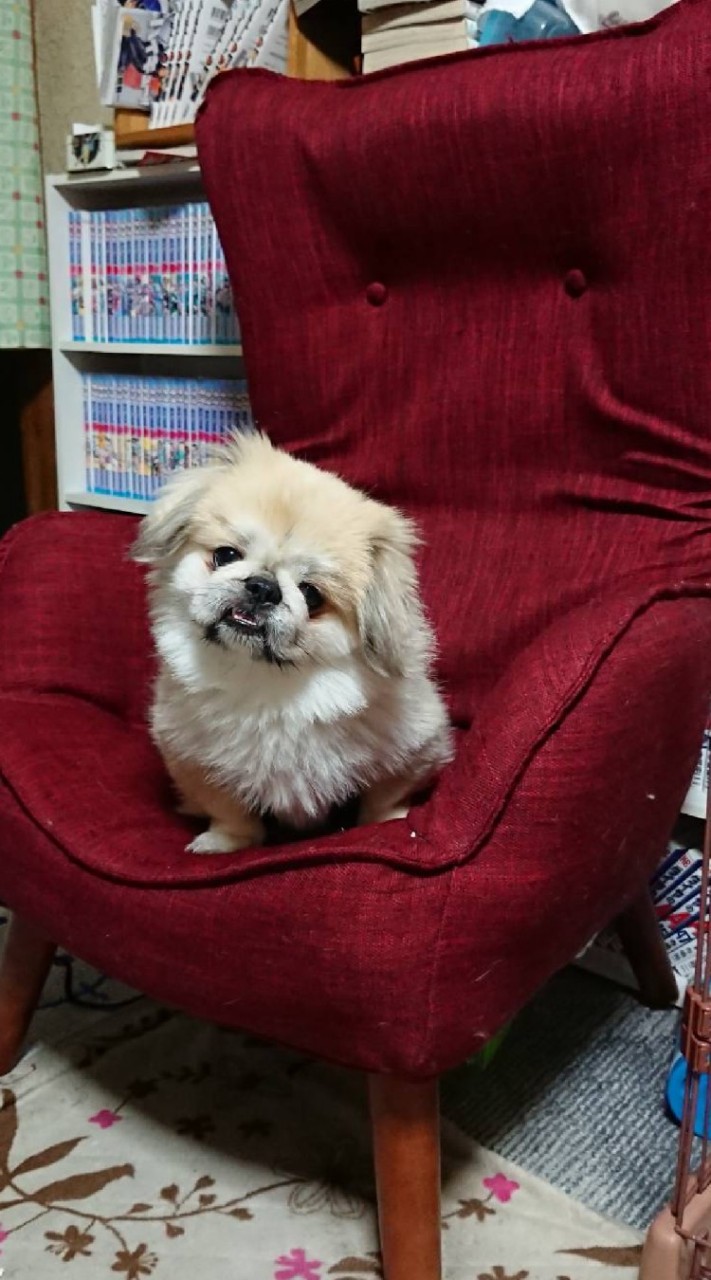 春夏秋冬の集い