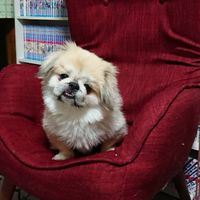 春夏秋冬の集い