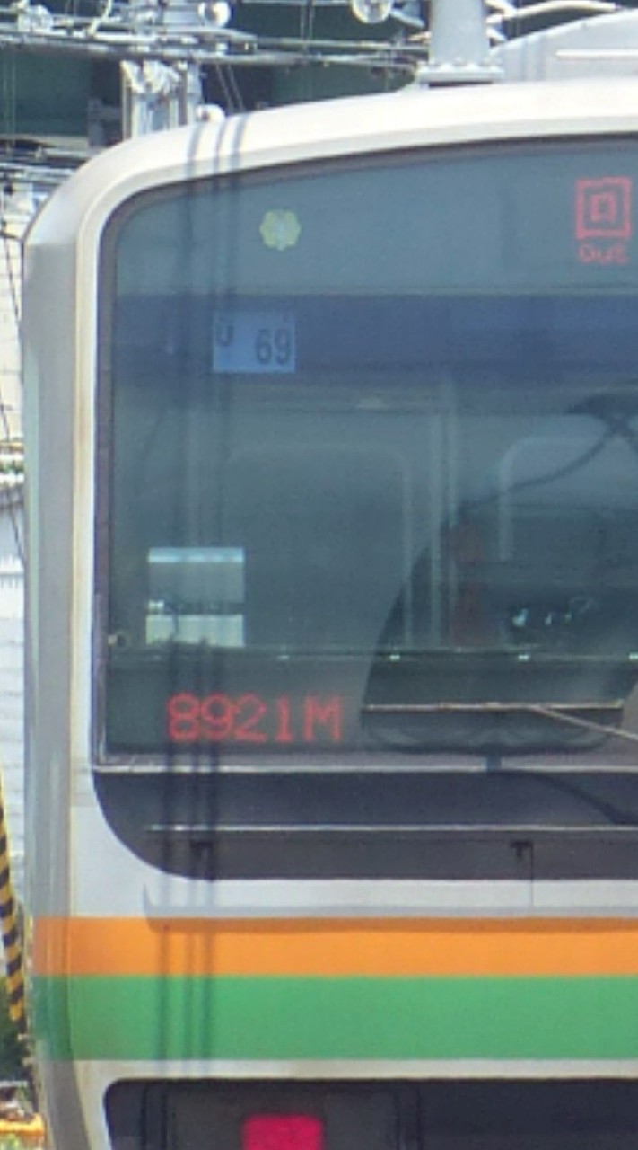 231たみのスカ公開