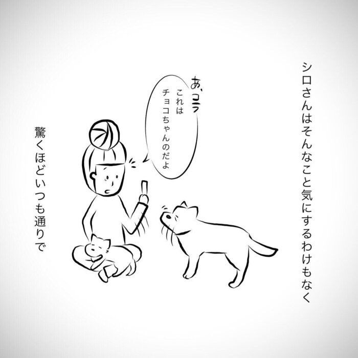 おなかをこちょこちょされる赤ちゃん豆柴に悶絶