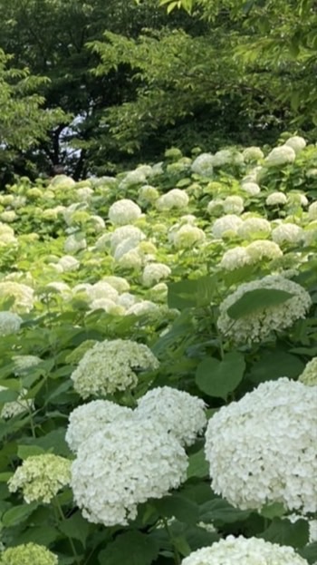 名簿・席札・くじ作成係