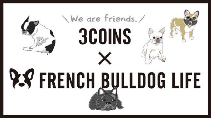 3COINS × FRENCH BULLDOG LIFE