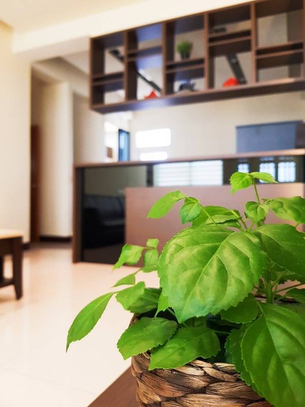 ▲以盆栽佈置的環境，十分清新可愛。（圖/非宿不可民宿）