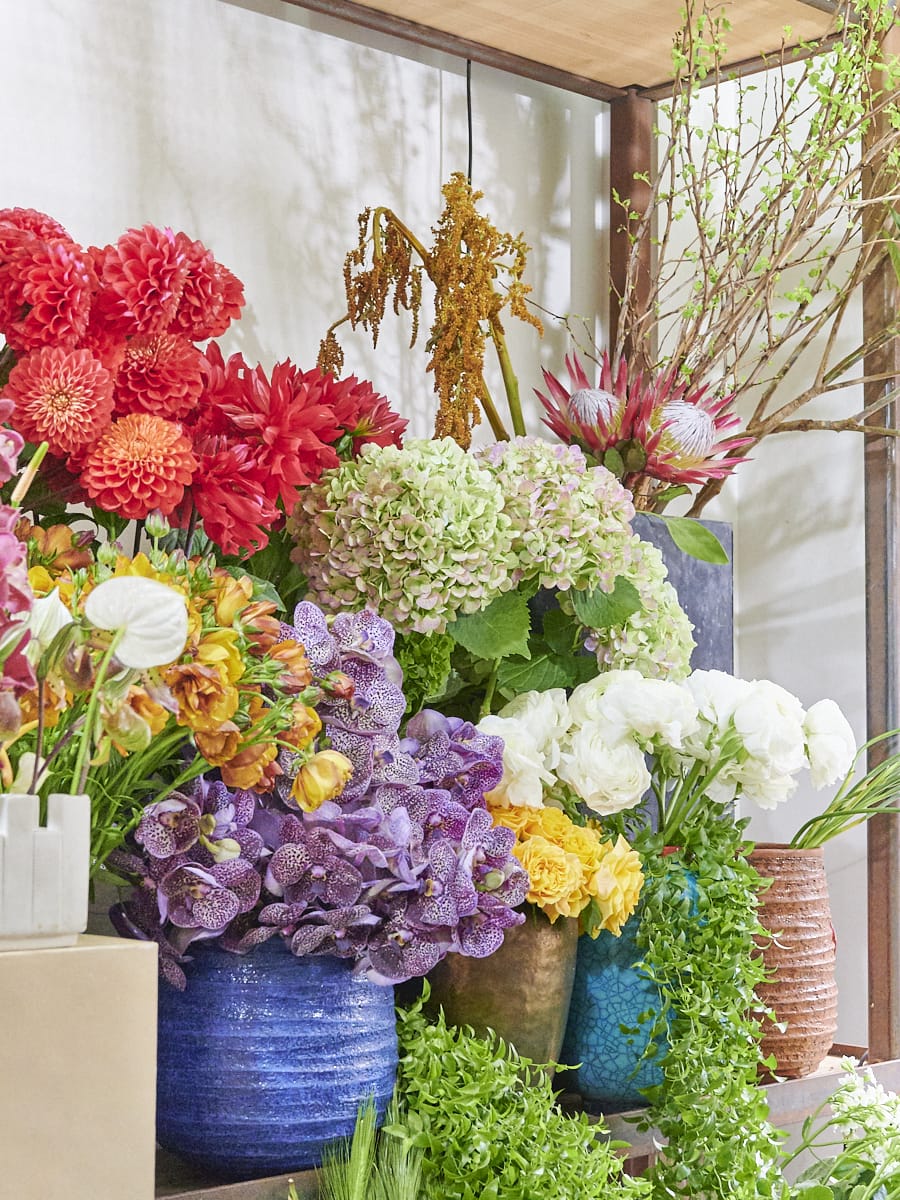 花のラボ 革新的な挑戦も続ける南青山 Logi Plants Flowers センスあふれる東京の花屋