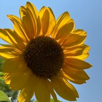 愛媛東予中予✤友達の輪