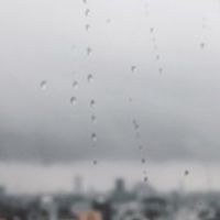 林中702班群