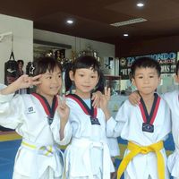 Taekwondo Summer 2026