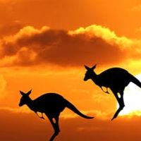 澳洲打工大小事🇦🇺
