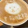 BUMPOFCHICKENリスナー集え⭐︎⭐︎⭐︎⭐︎