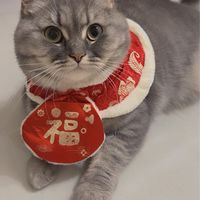 Bu日本連線代購🇯🇵