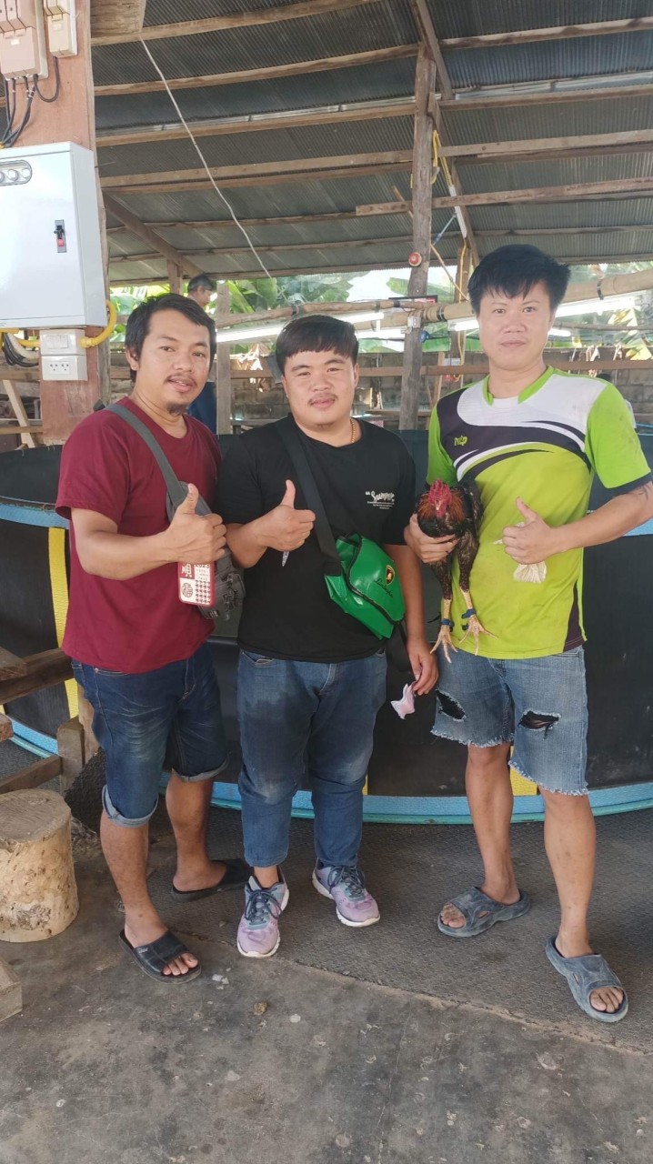 ซุ้มเพชรบ้านทุ่งฟาร์ม 0807030745