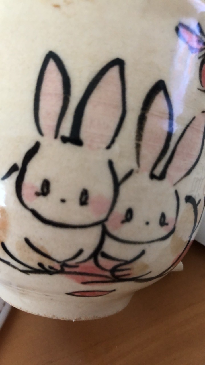 🐰うさぎ&暮らし🌼🏠