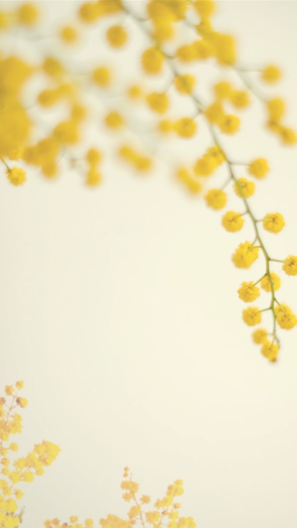 ミミ花(mimika)手作選品