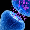 生物学部屋(MPchat系列)