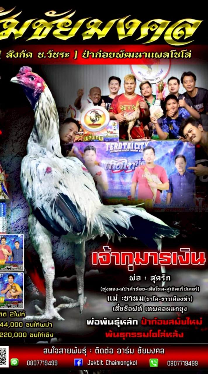 ชัยมงคล ป่าก๋อยตีหลัง(ลพบุรี)