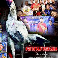 ชัยมงคล ป่าก๋อยตีหลัง(ลพบุรี)
