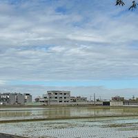 「新竹/竹北/竹東/新埔/新豐/芎林」面交團-保養/保健食品/健康用品/健康資訊/養生資訊 分享討論
