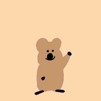 M.Y 💌 | 韓團代購🌸