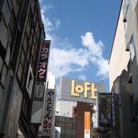Tokyo owl 拍照散步計畫