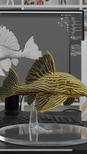 ✧ 南美水池異形魚 ｜ 龍魚 ˖°✧