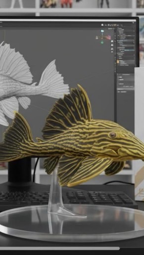 ✧ 南美水池異型魚 ｜ 龍魚 ˖°✧