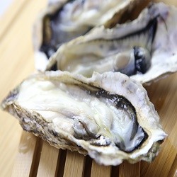 卡馬龍日本冷凍全殼生蠔(無LINE POINTS)