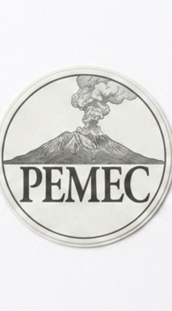 第5回鹿児島PEMEC受講者